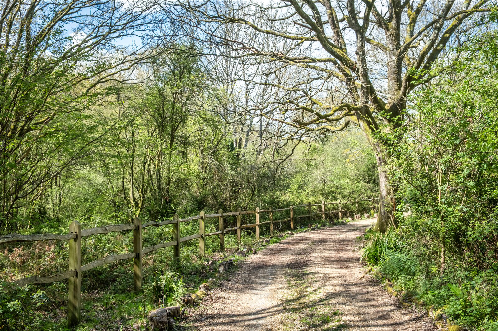River Common, Petworth, West Sussex, GU28, photo 12