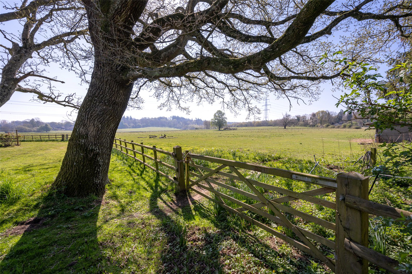 Dorchester Road, Sturminster Marshall, Wimborne, BH21, photo 33