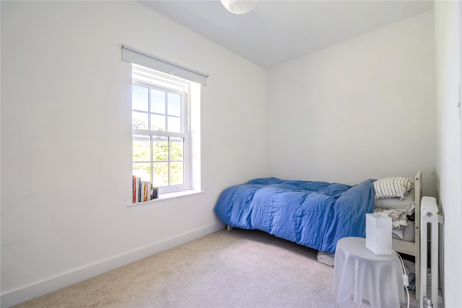 Holman Park, Camborne, Cornwall, TR14, photo 11