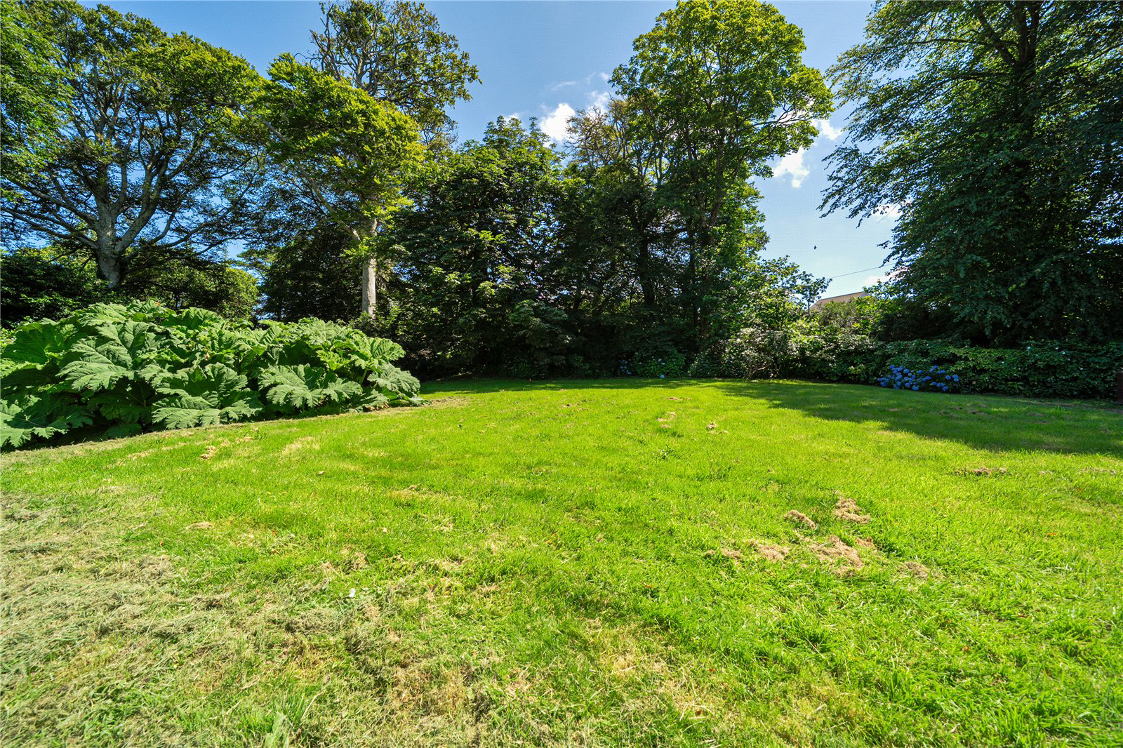 Holman Park, Camborne, Cornwall, TR14, photo 17