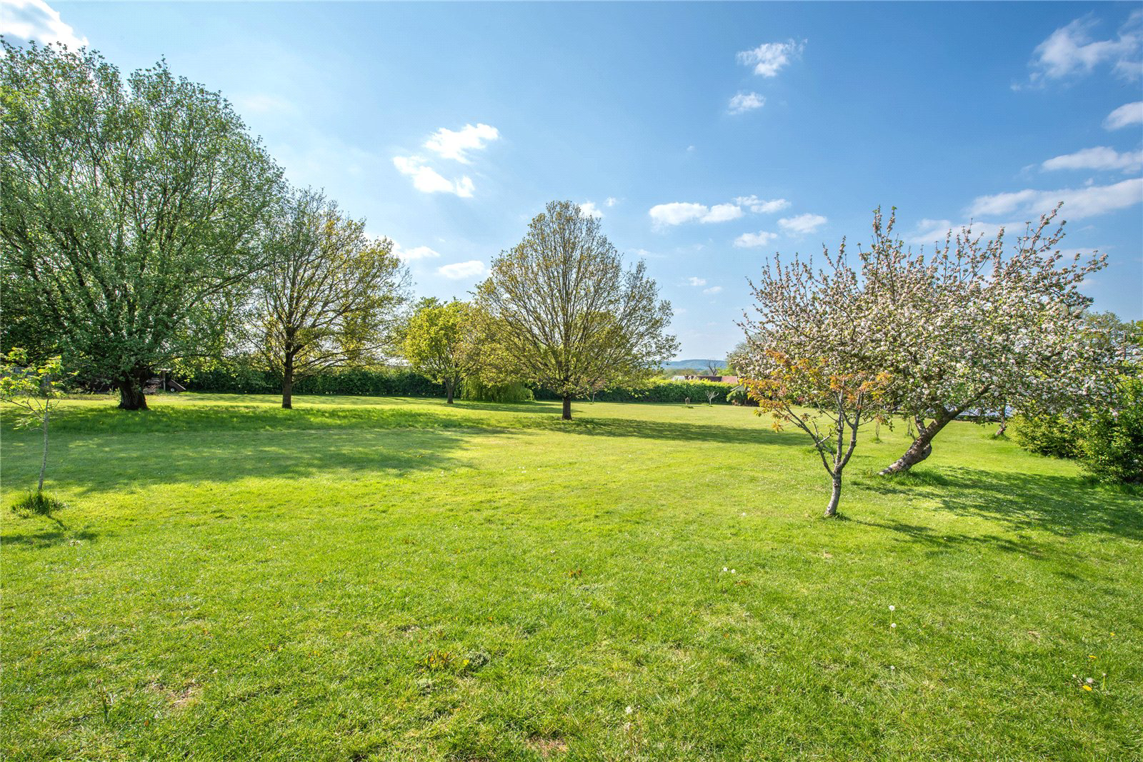 Burnt Oak Lane, Newdigate, Dorking, Surrey, RH5, photo 5
