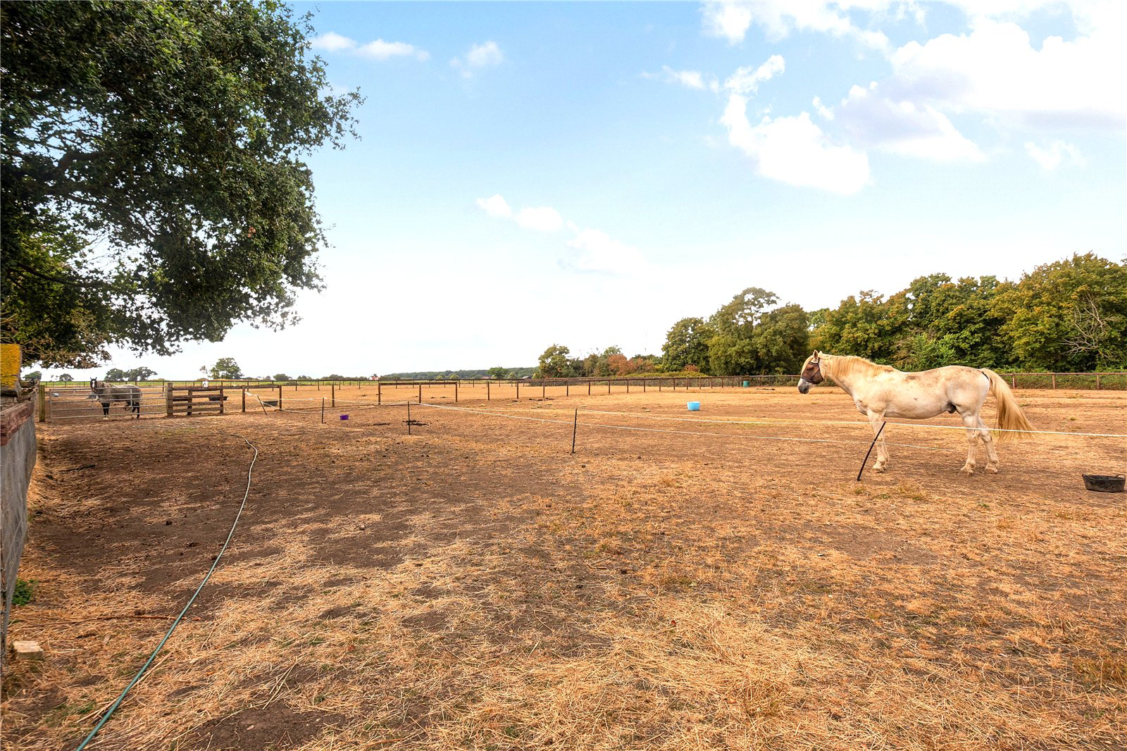 Wattisfield Road, Thelnetham, Diss, Suffolk, IP22, photo 15