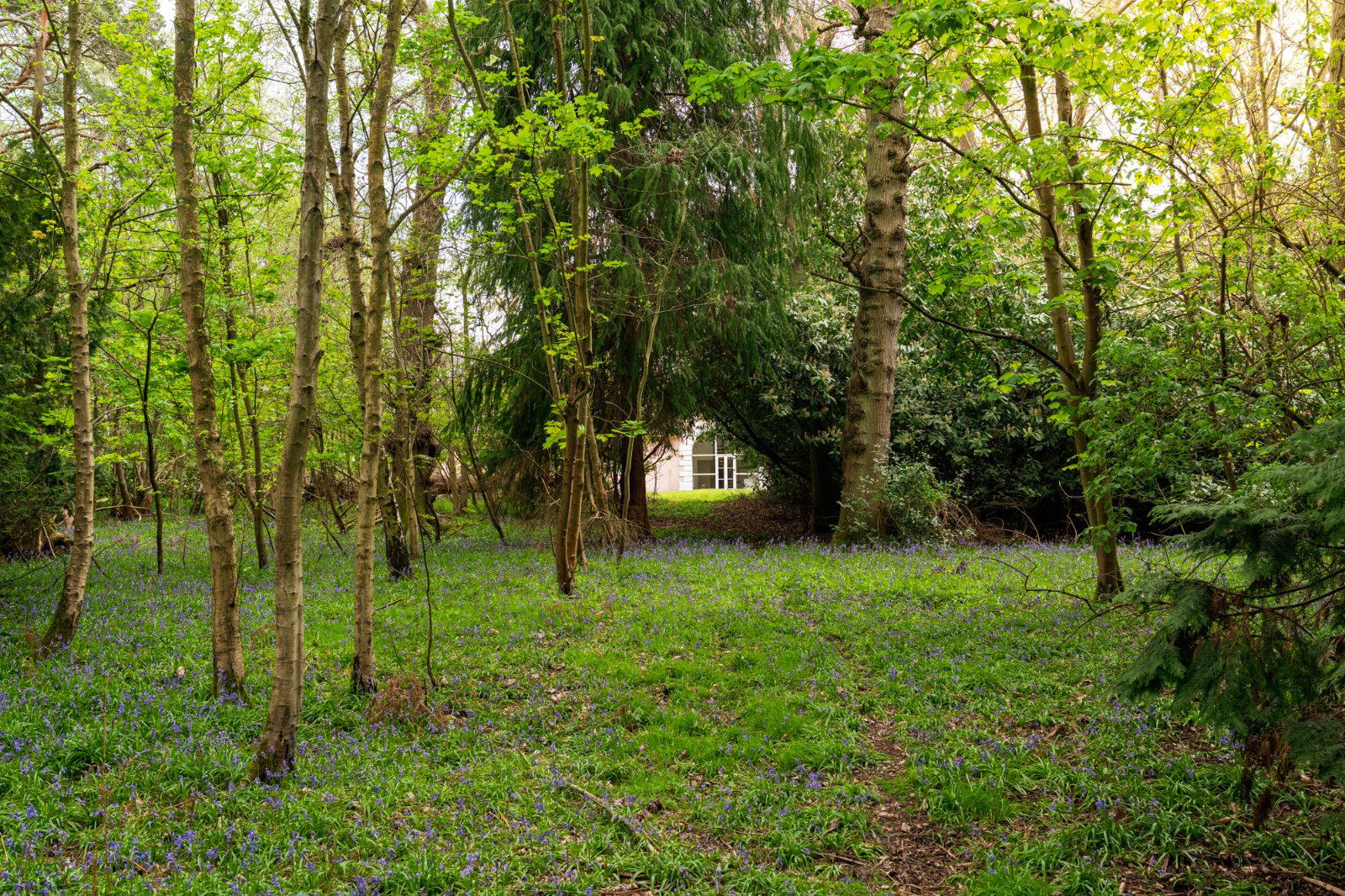 Stable Cottage, Ford Lane, Alresford, Colchester, CO7, photo 30