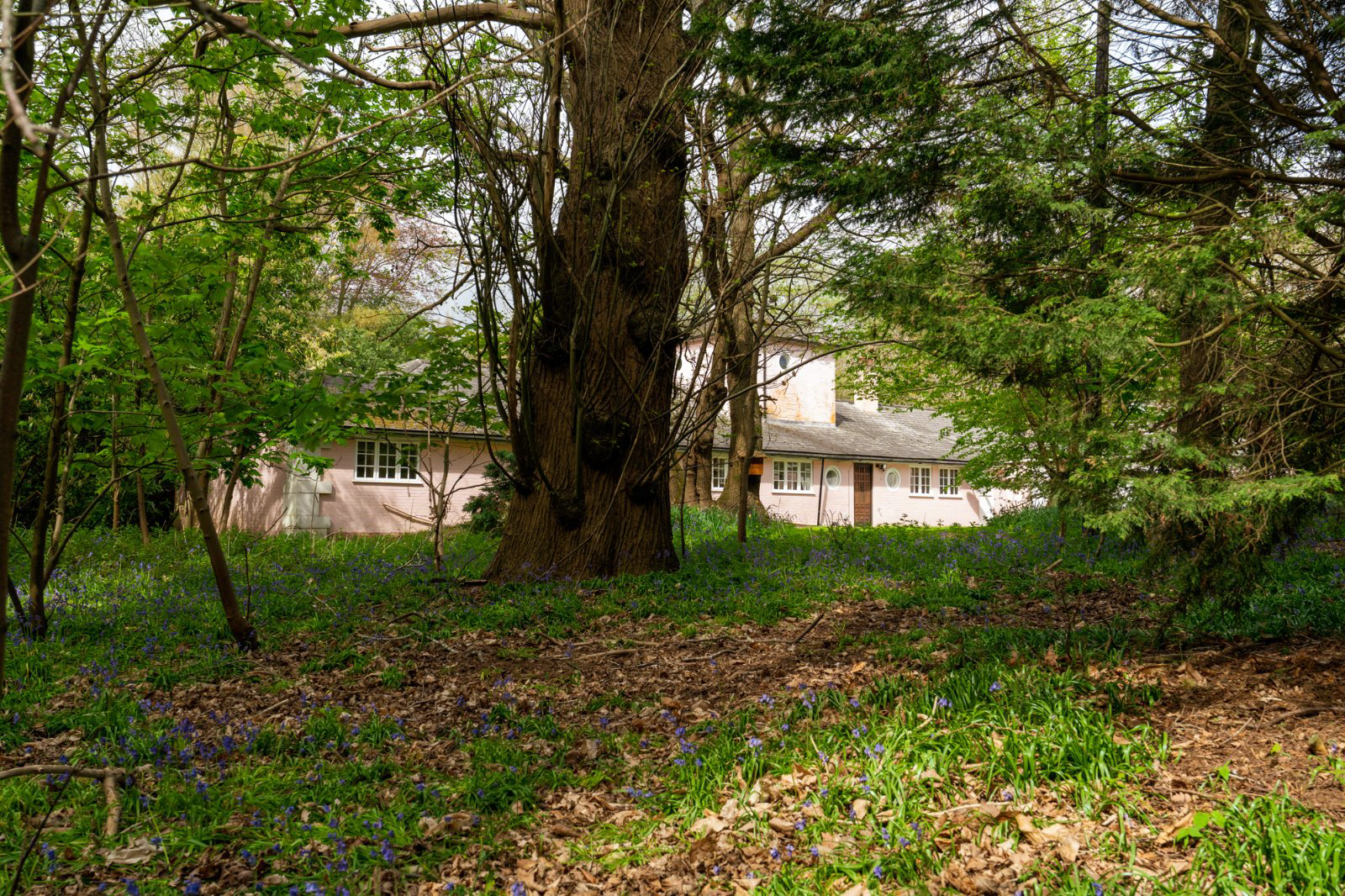 Stable Cottage, Ford Lane, Alresford, Colchester, CO7, photo 28