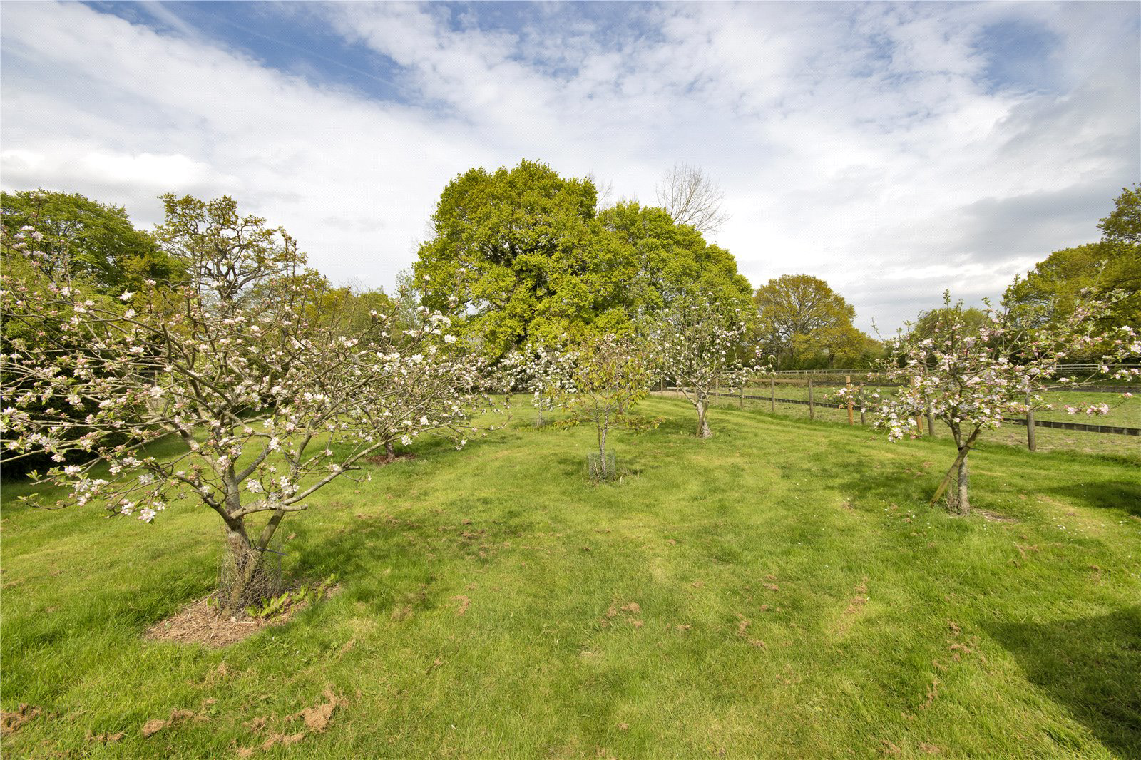 Mundy Bois Road, Egerton, Kent, TN27, photo 10