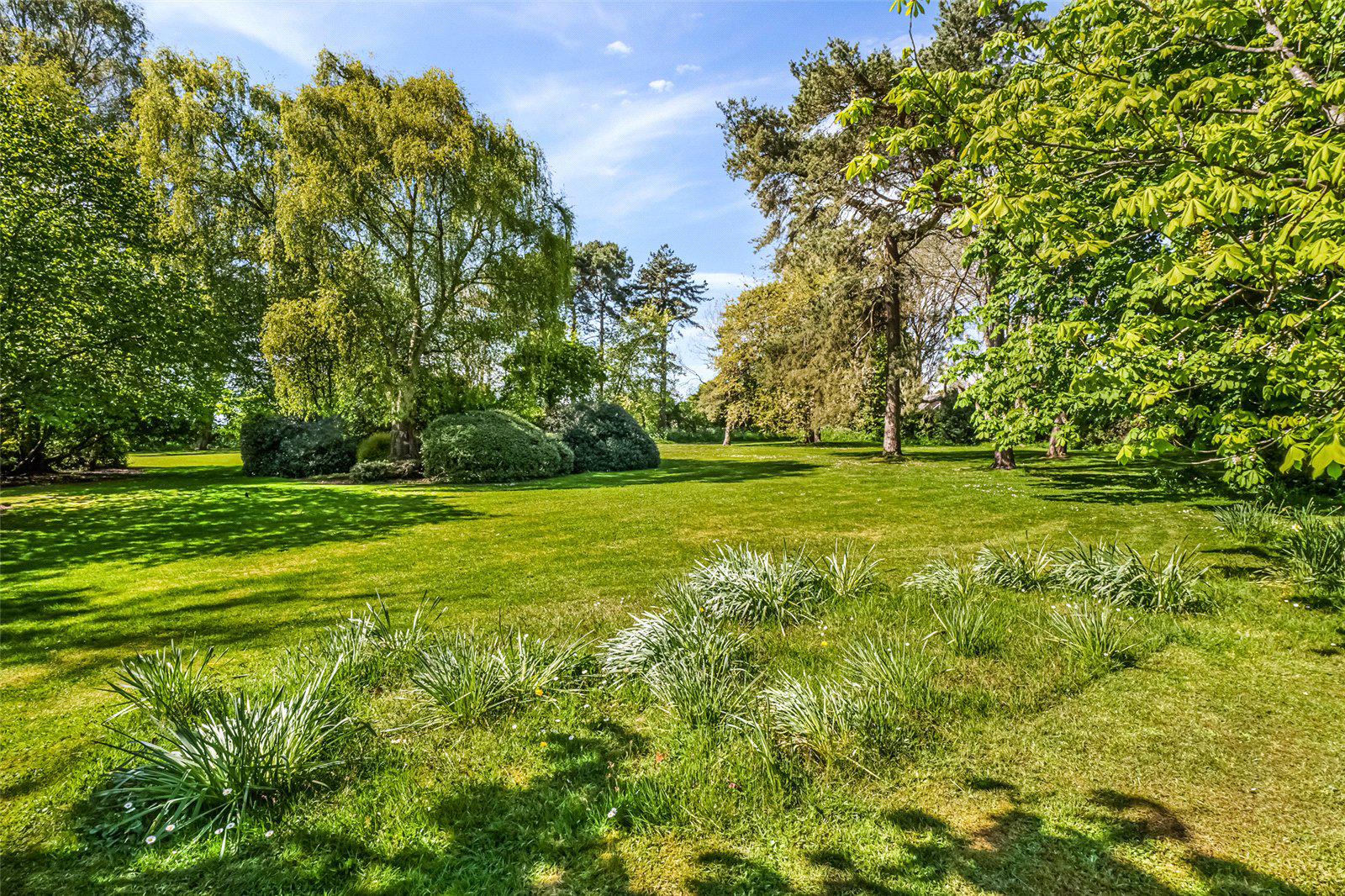 Onehouse, Stowmarket, Suffolk, IP14, photo 7