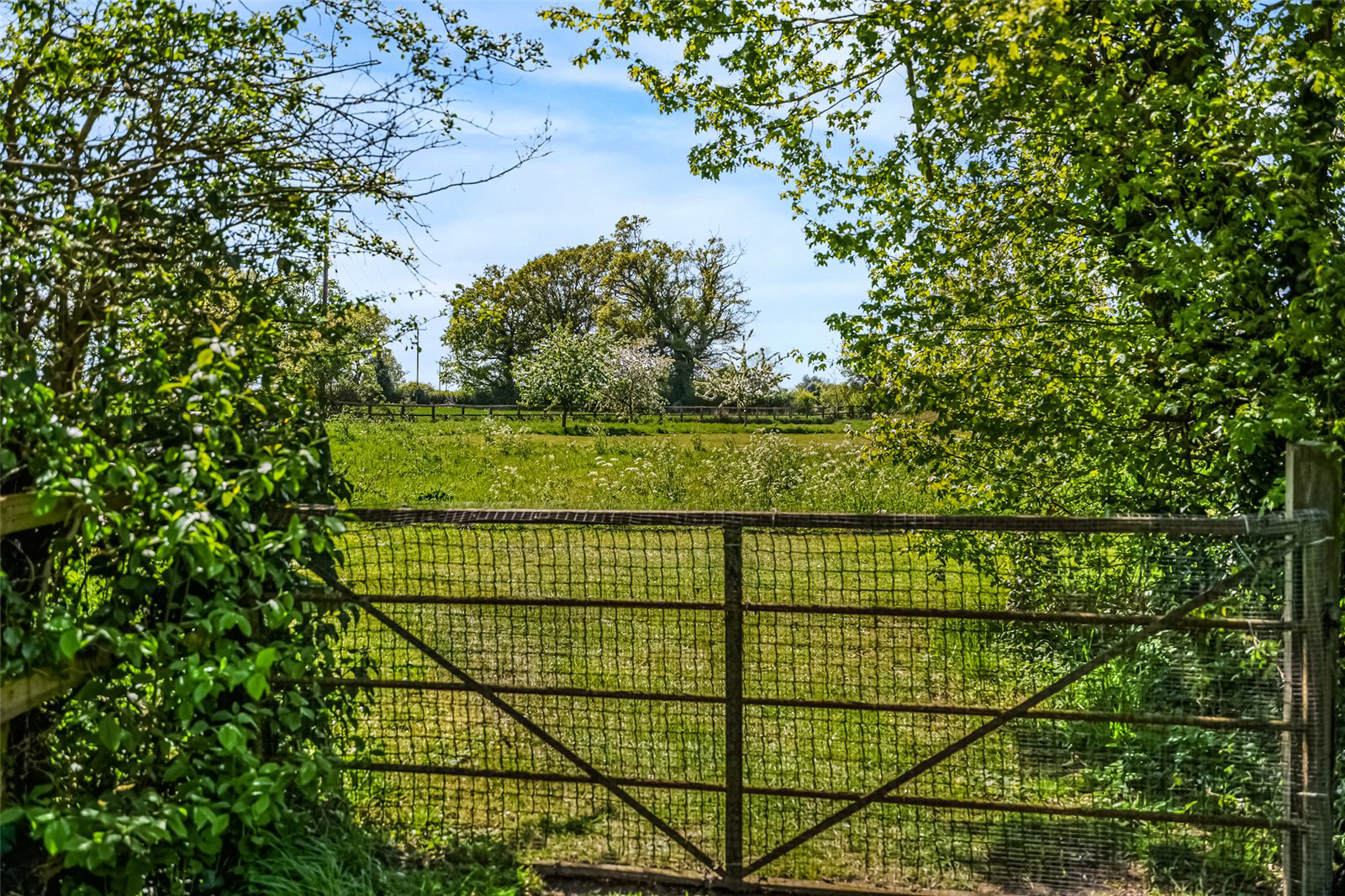 Onehouse, Stowmarket, Suffolk, IP14, photo 30