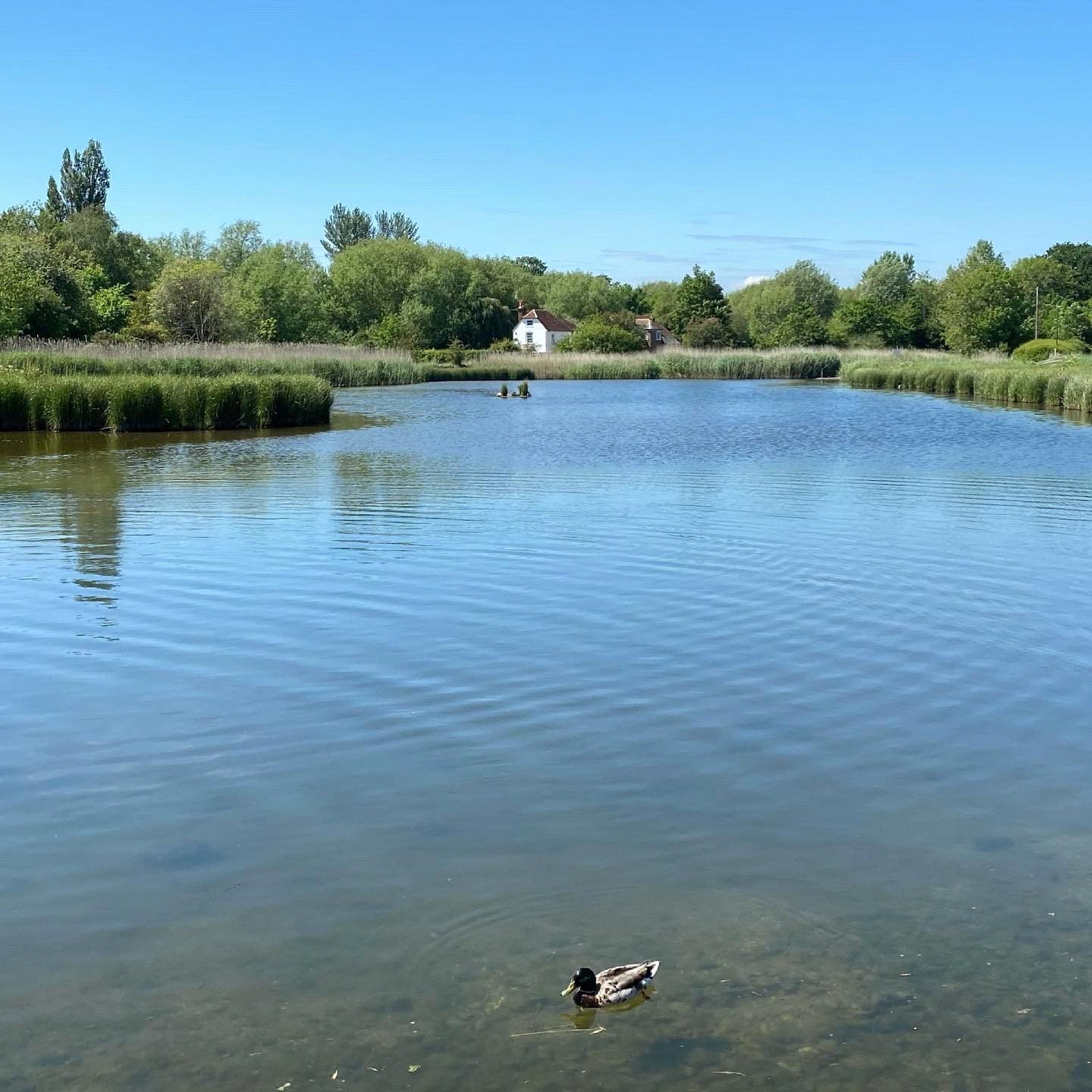 Frankland Terrace, Emsworth, Hampshire, PO10, photo 8