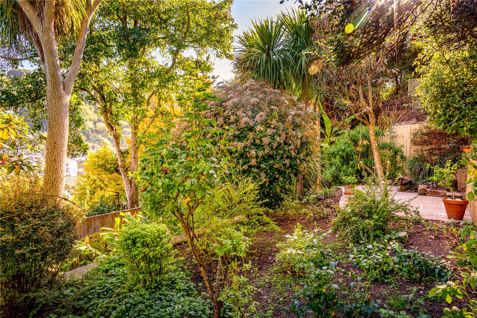 Clarence Hill, Dartmouth, Devon, TQ6, photo 19