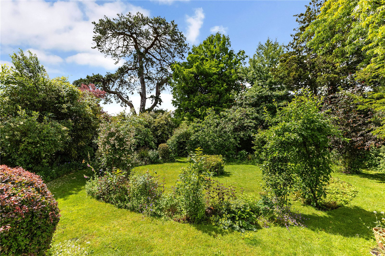 Guillards Oak, Midhurst, West Sussex, GU29, photo 4
