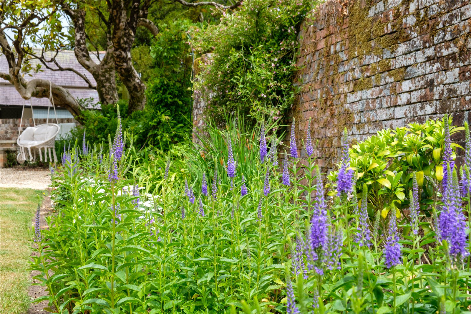 Moreton, Dorchester, Dorset, DT2, photo 76
