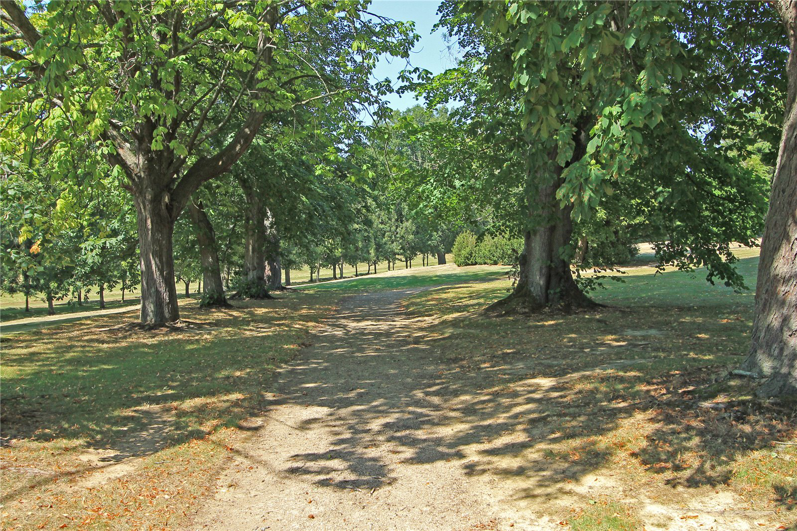North Frith Park, Shipbourne, Tonbridge, Kent, TN11, photo 19