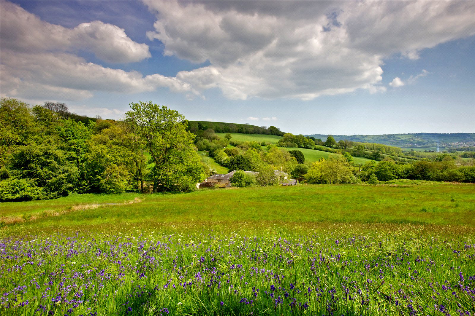 Combe Raleigh, Honiton, Devon, EX14, photo 2