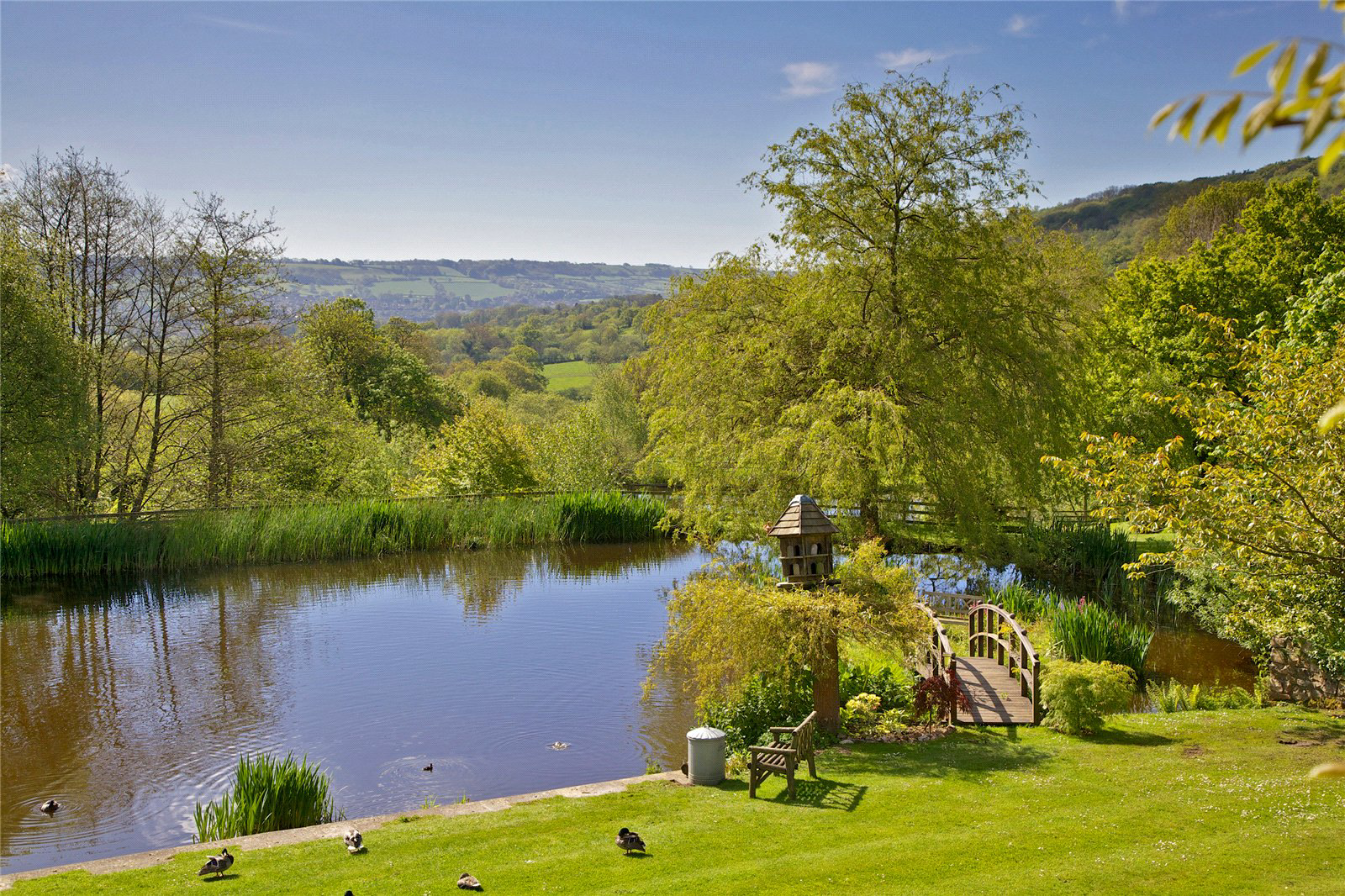 Combe Raleigh, Honiton, Devon, EX14, photo 22