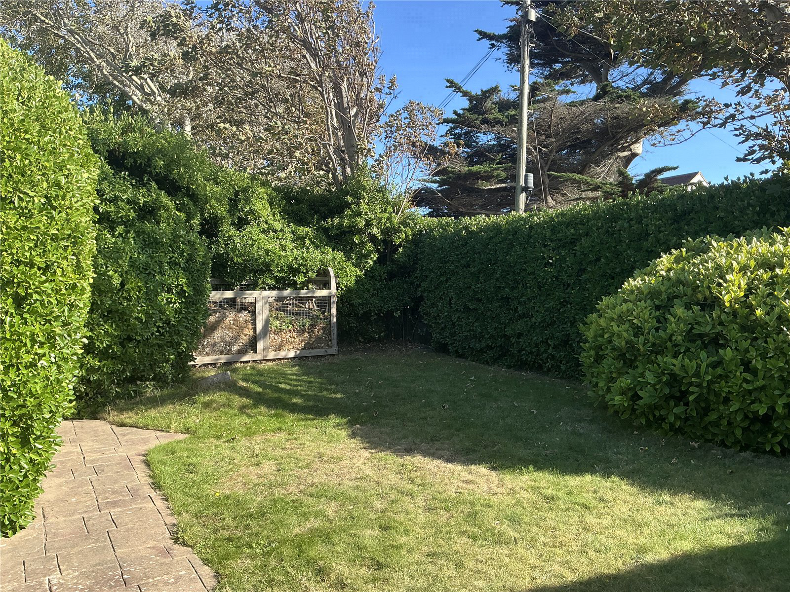 Photo 19