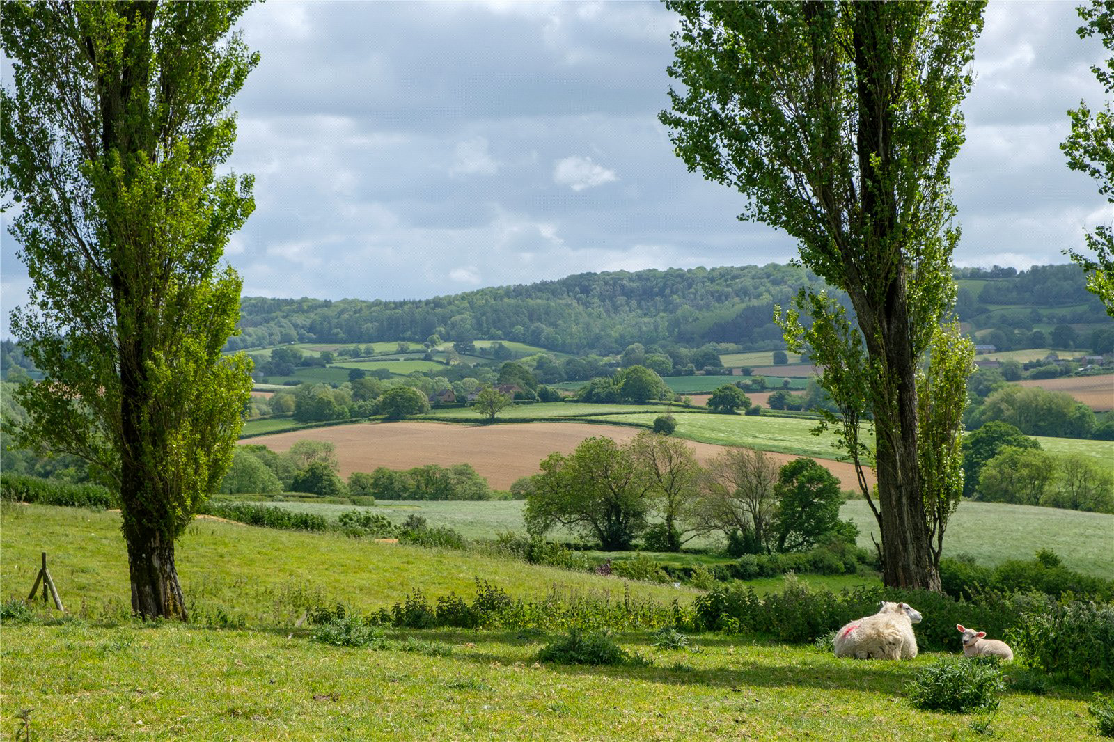 Mill Lane, Dowlish Wake, Ilminster, Somerset, TA19, photo 3