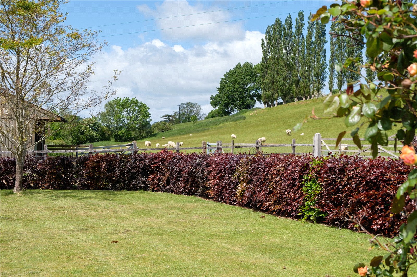 Mill Lane, Dowlish Wake, Ilminster, Somerset, TA19, photo 46