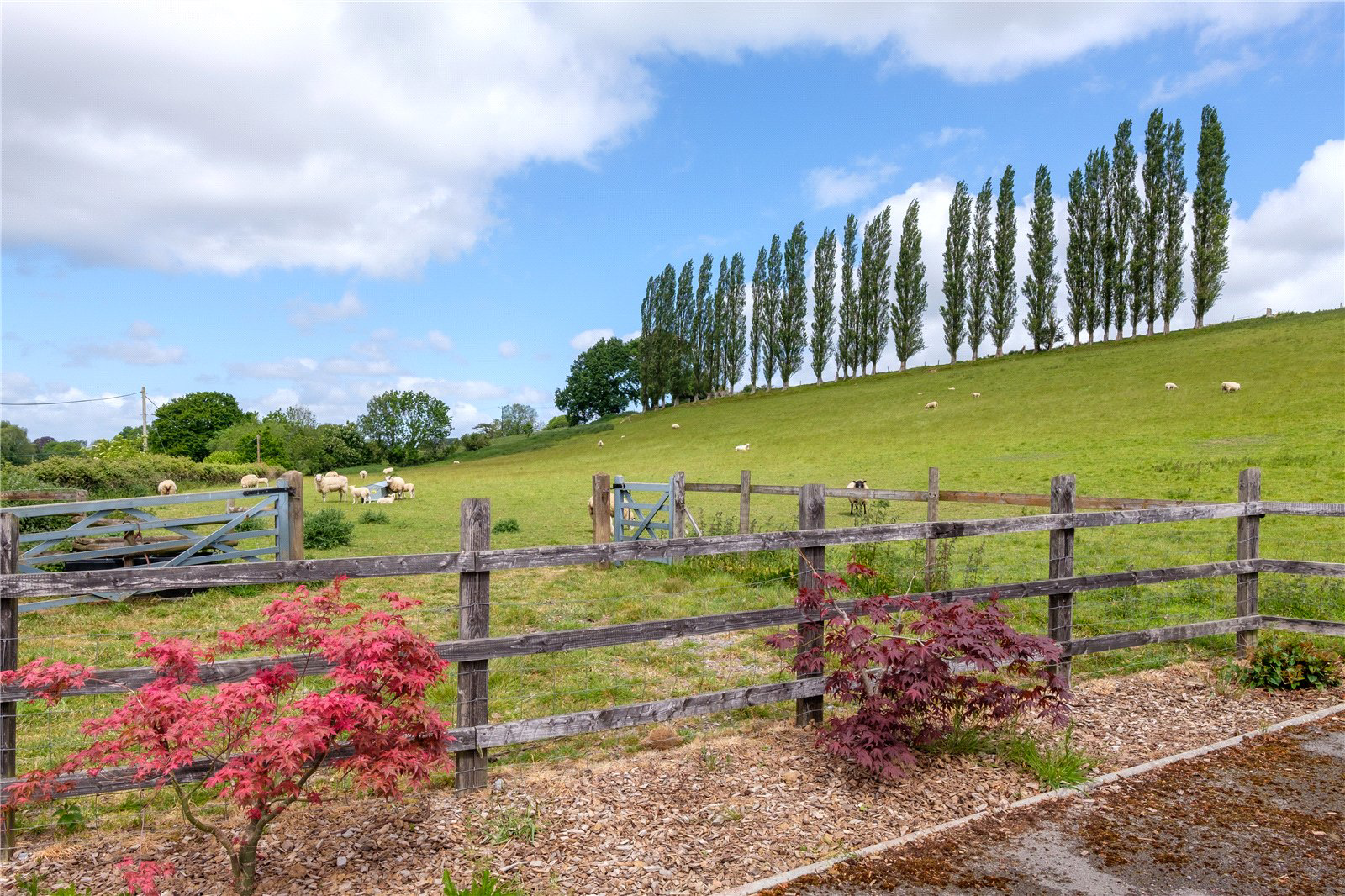 Mill Lane, Dowlish Wake, Ilminster, Somerset, TA19, photo 50