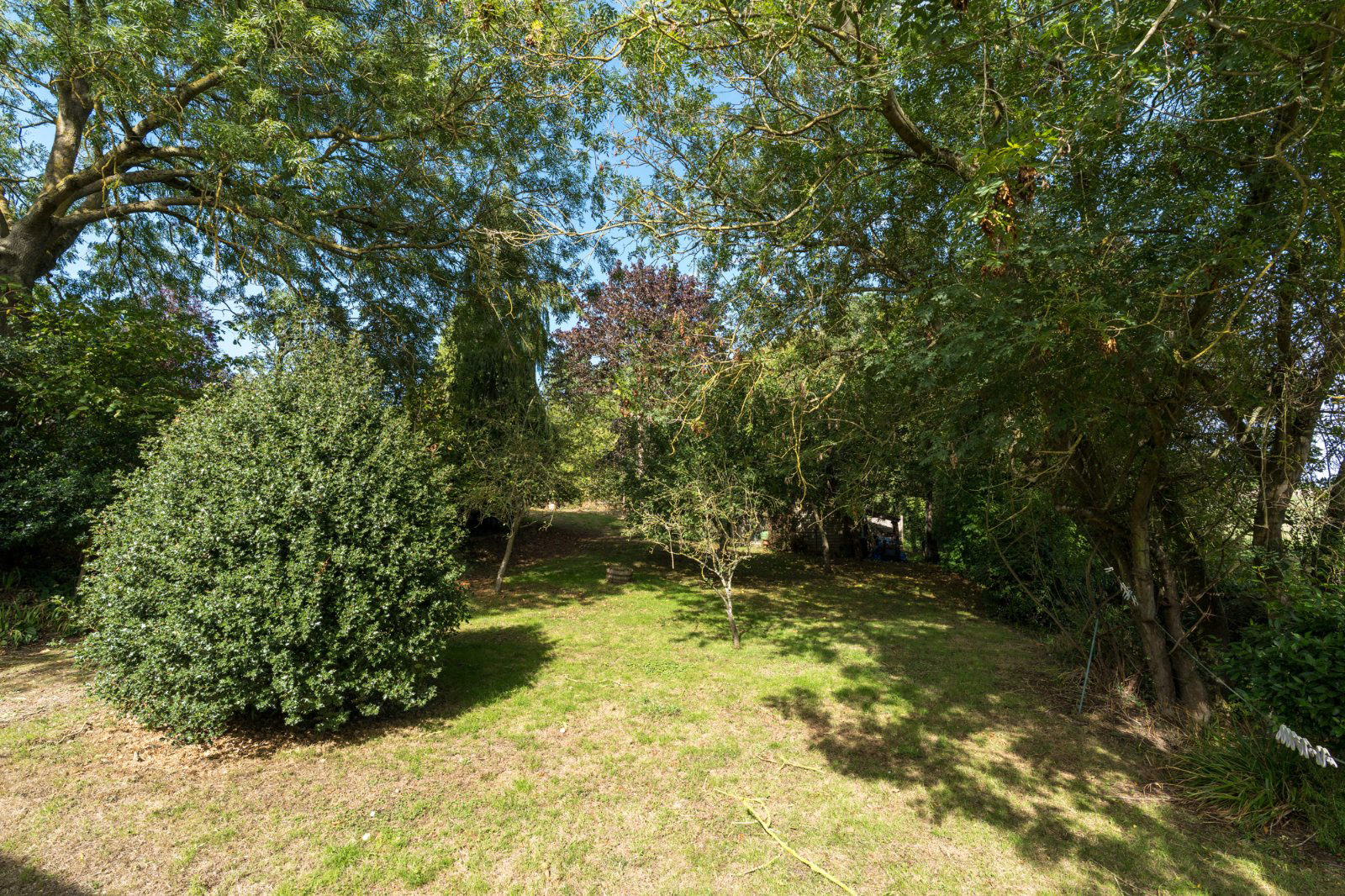 Bourne Road, West Bergholt, Colchester, Essex, CO6, photo 27