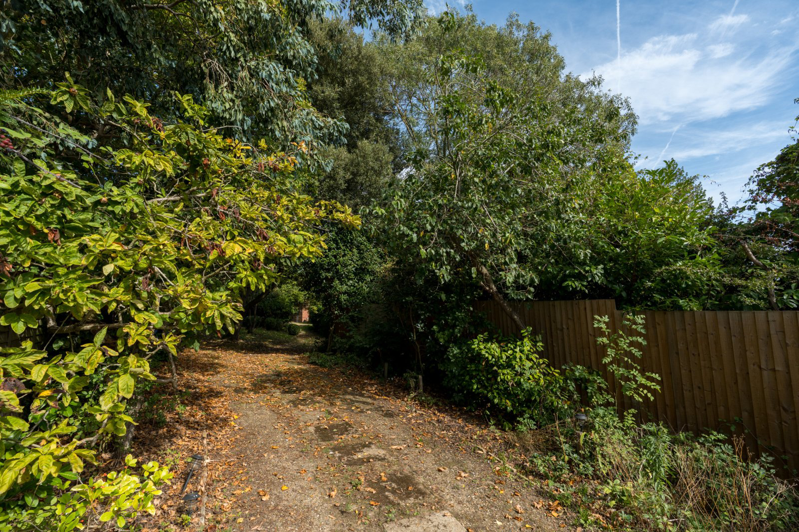 Bourne Road, West Bergholt, Colchester, Essex, CO6, photo 25