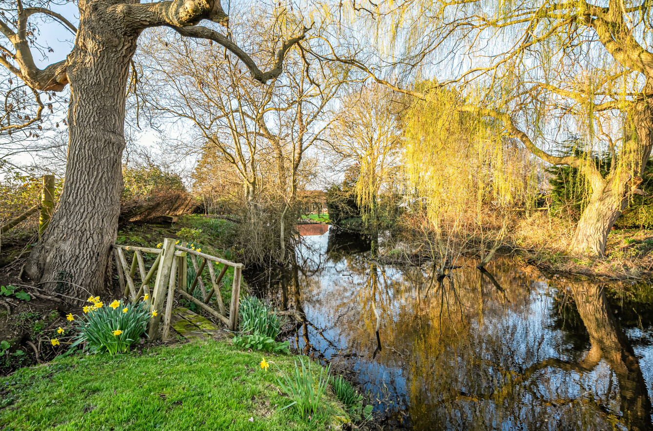 Long Reach, Ockham, Surrey, GU23, photo 30