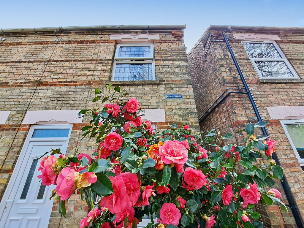 Wisbech, Cambridgeshire, photo 19