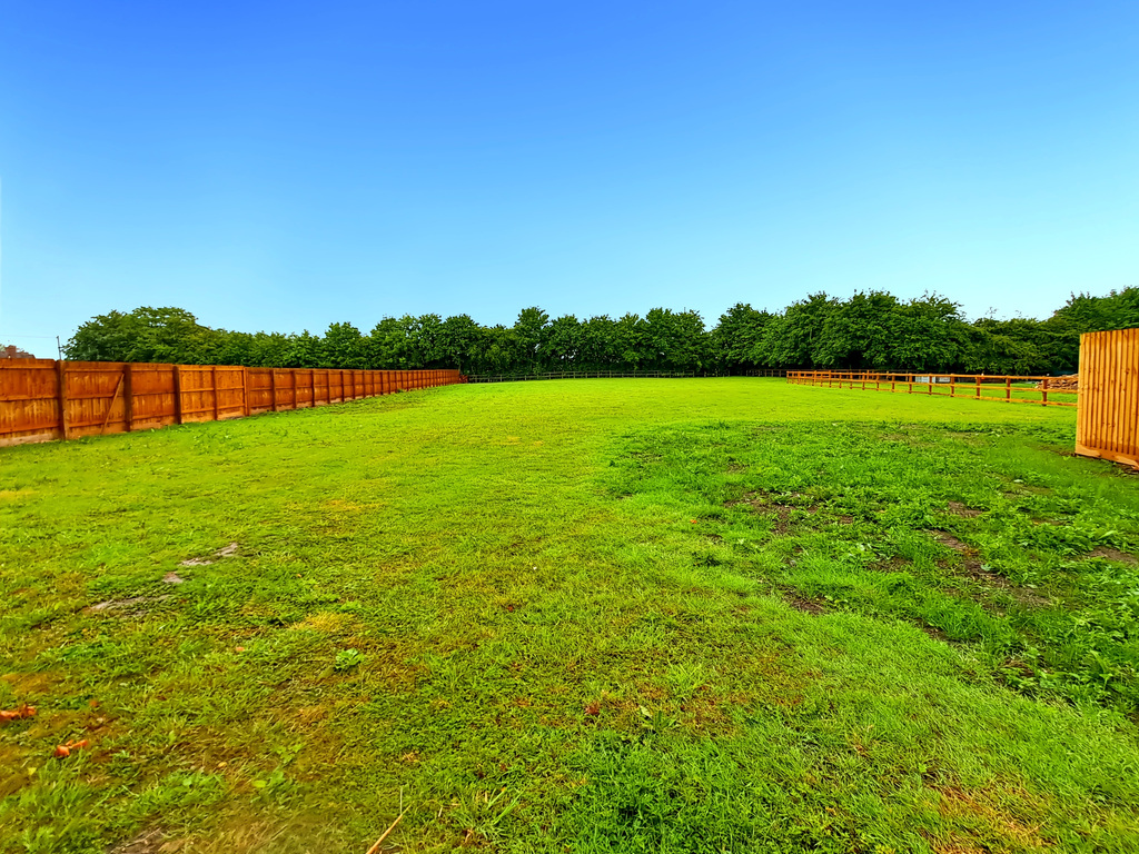 the-barn_00039