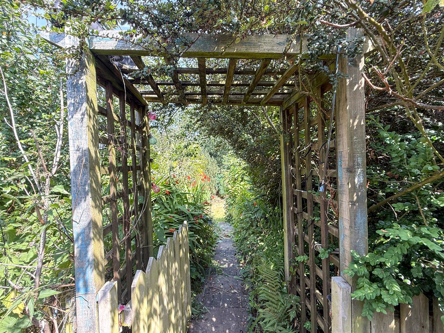 Birch Avenue, Knypersley, ST8 6NY, photo 19