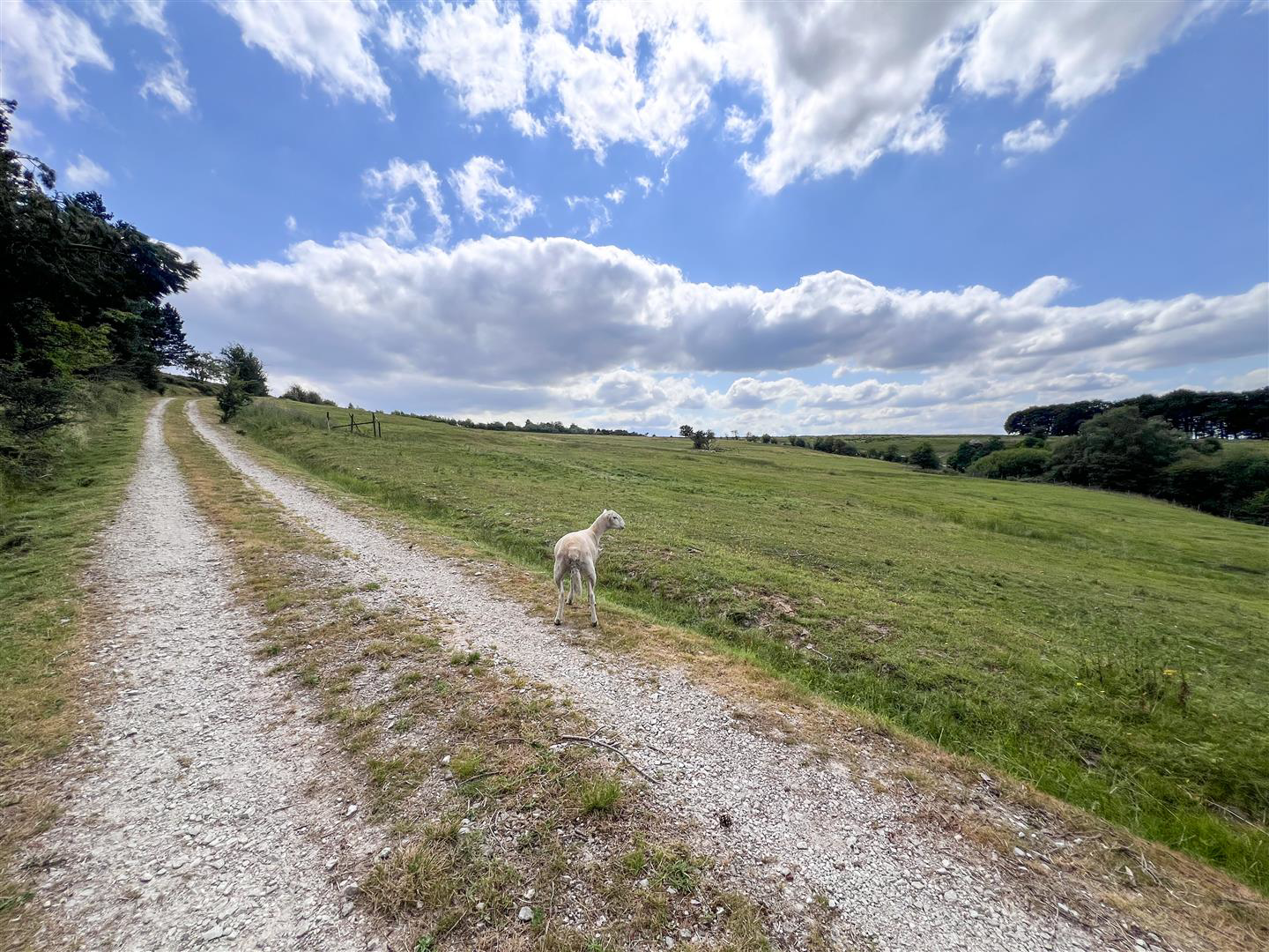 Heaton, Rushton Spencer, Macclesfield, SK11, photo 46