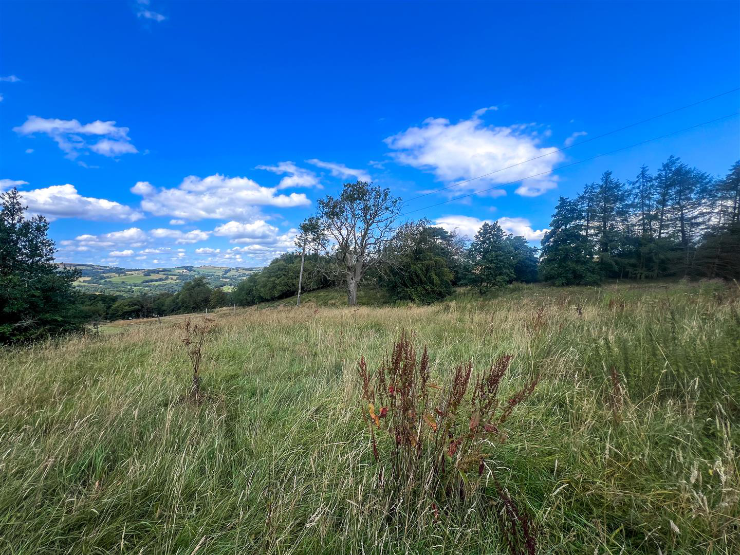 Heaton, Rushton Spencer, Macclesfield, SK11, photo 50