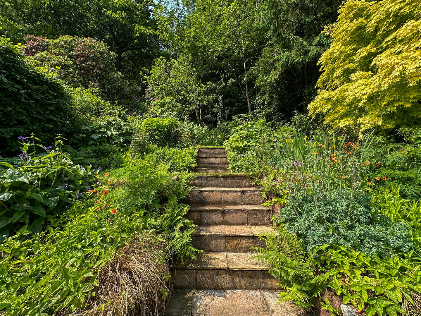 Lake Road, Rudyard, Staffordshire Moorlands, ST13, photo 22
