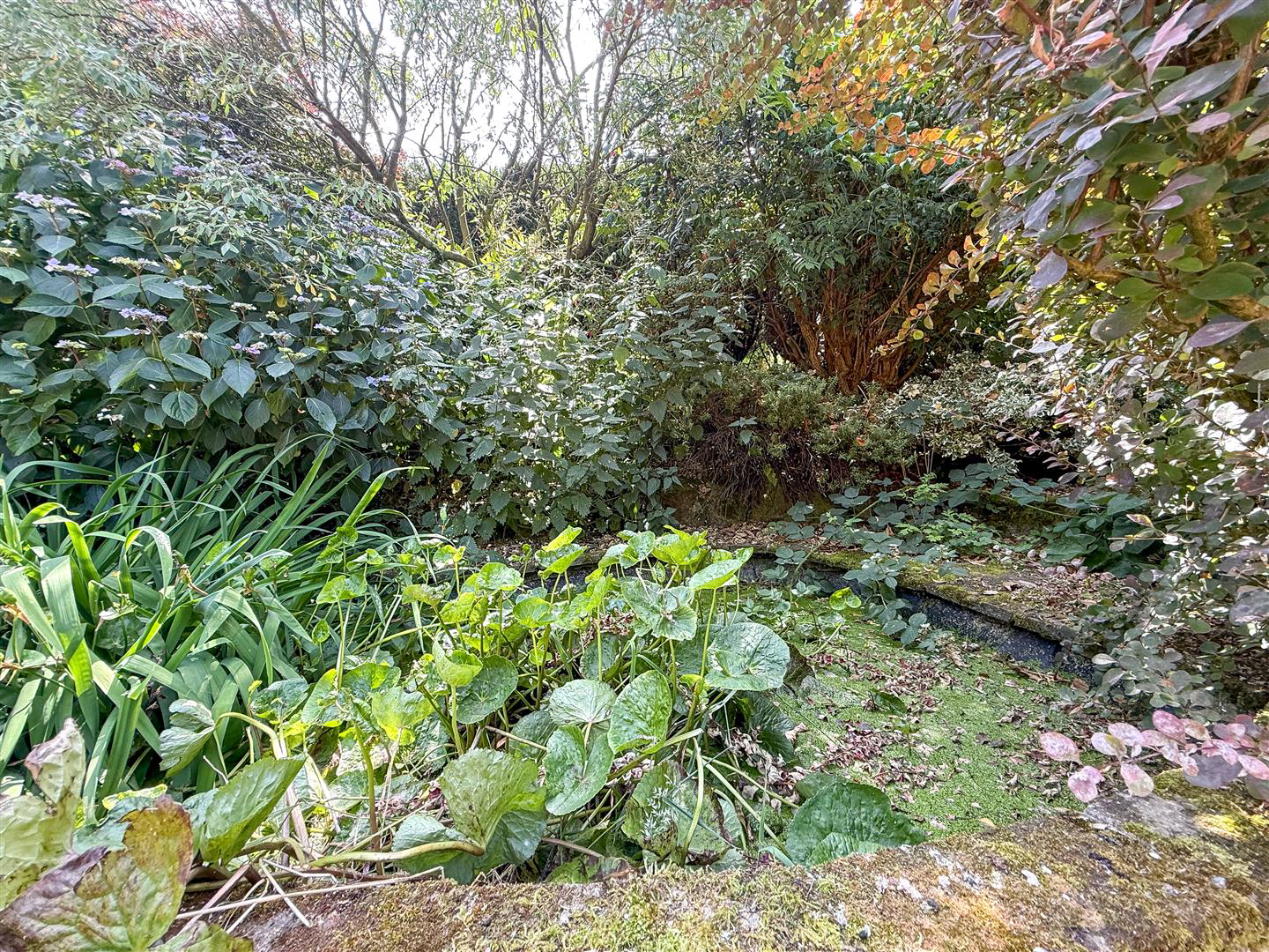 Birch Avenue, Knypersley, ST8 6NY, photo 26