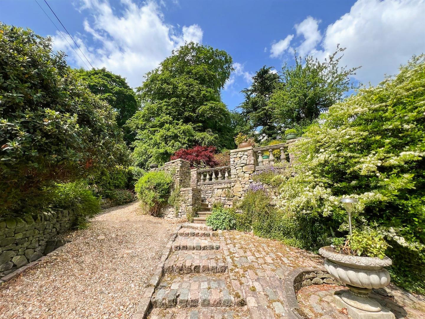 Side Garden