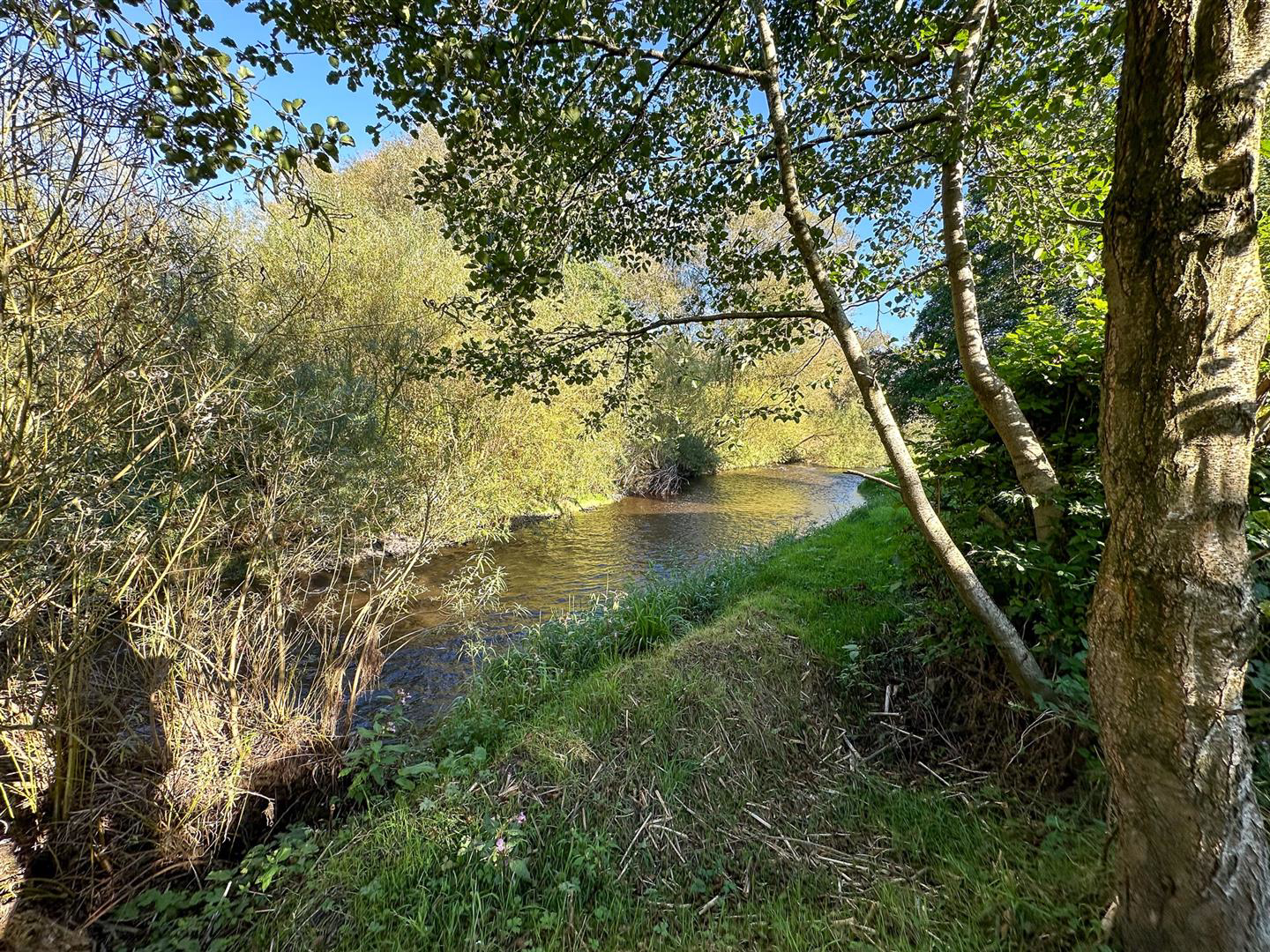 Photo 32
