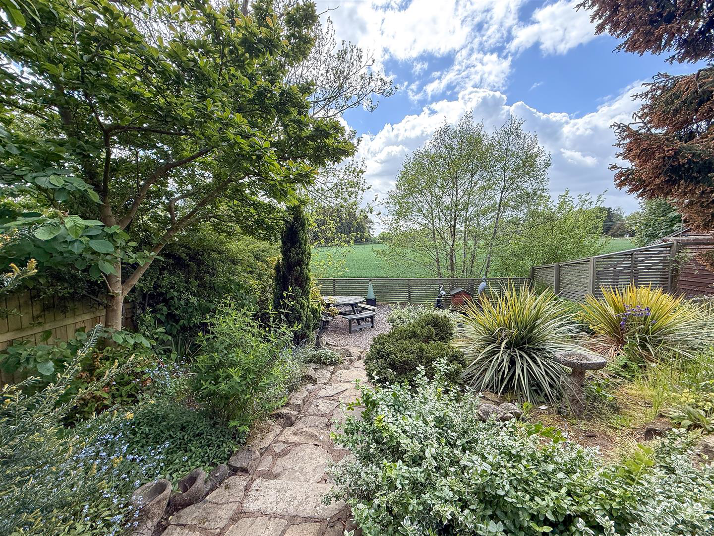 Paddocks Green, Congleton, photo 46