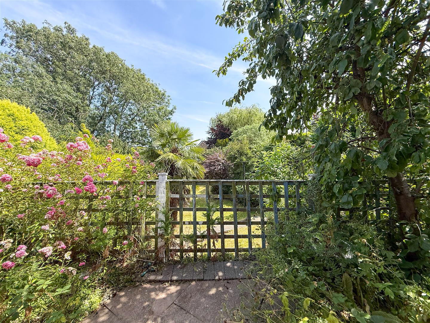 Birch Avenue, Knypersley, ST8 6NY, photo 5