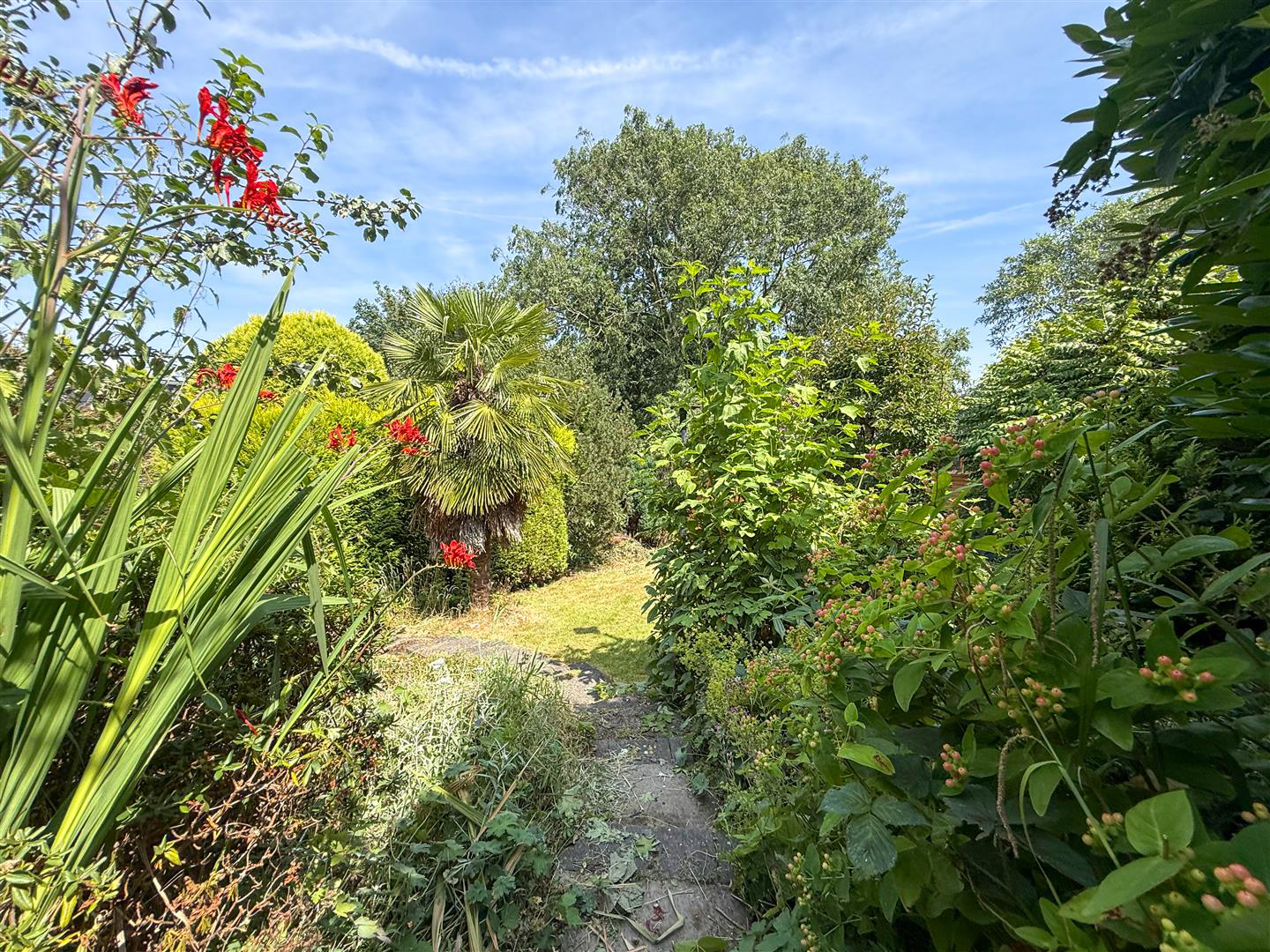 Birch Avenue, Knypersley, ST8 6NY, photo 18
