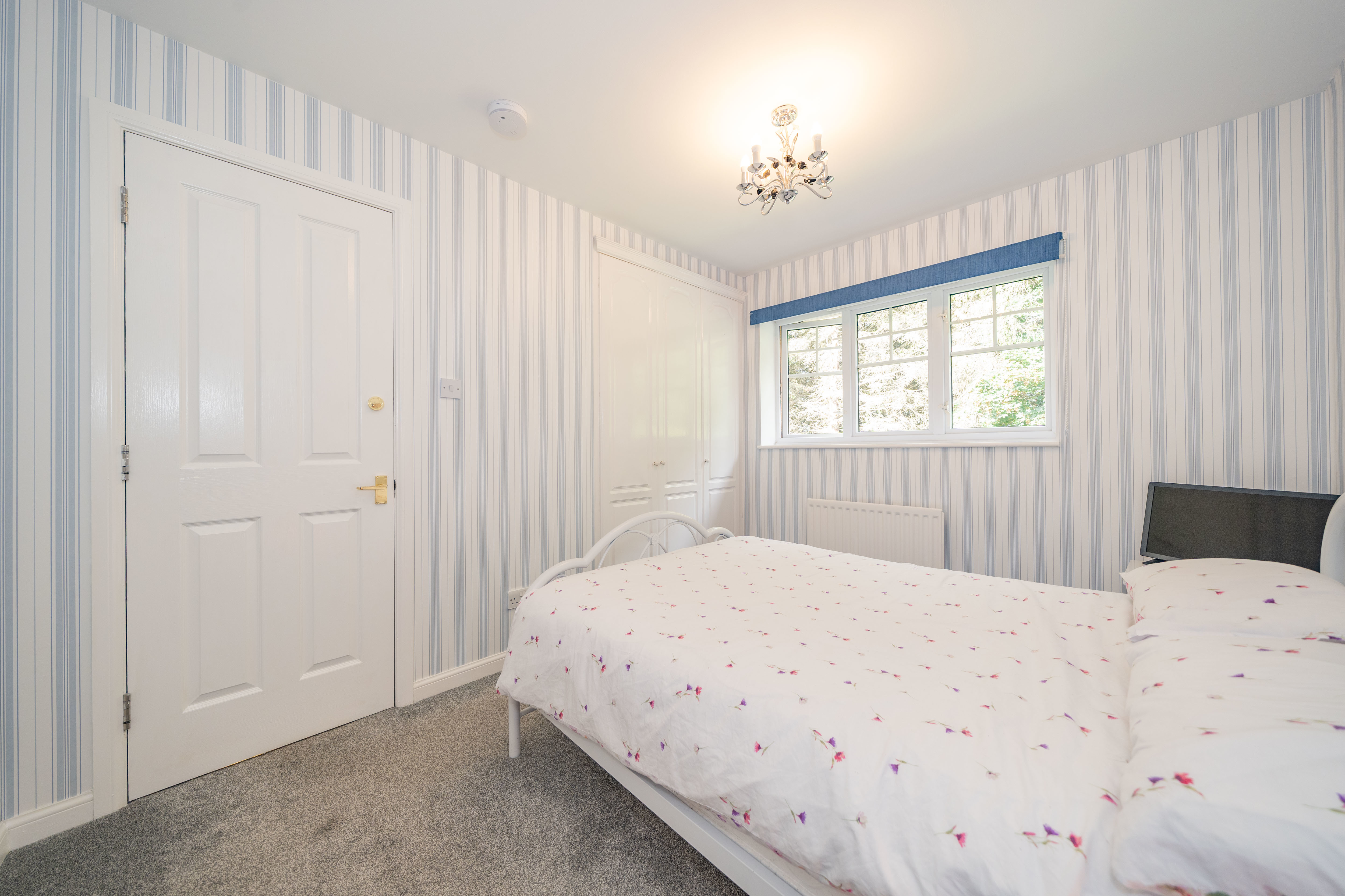 Bluebell Glade, Livingston, EH54, photo 26