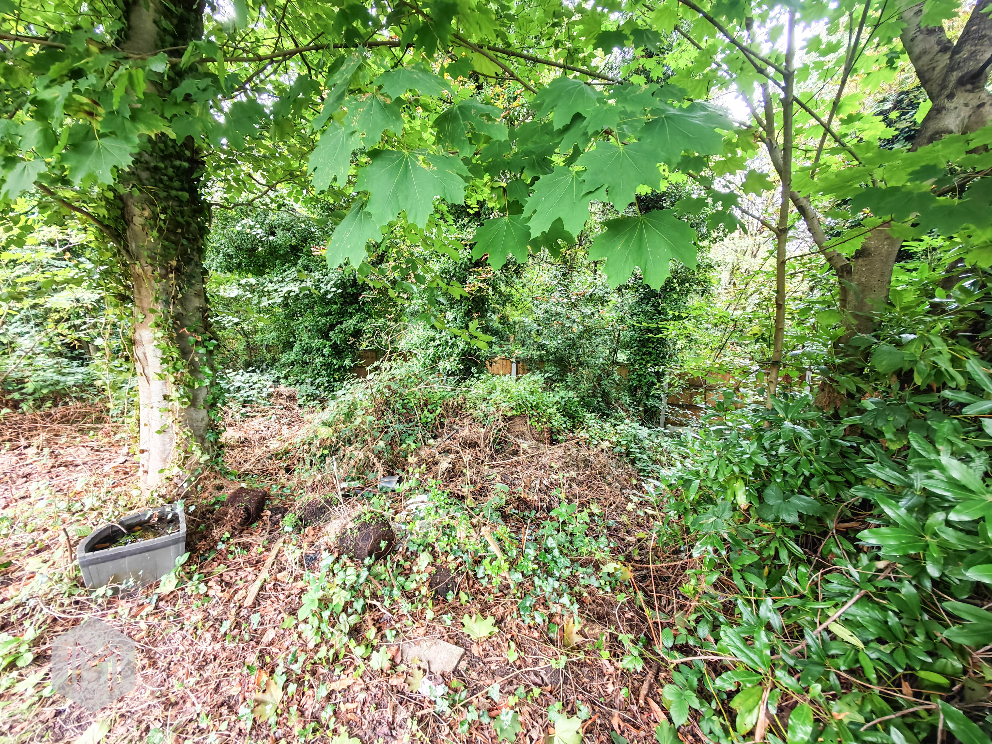 Dellcot Lane, Worsley, M28, photo 22