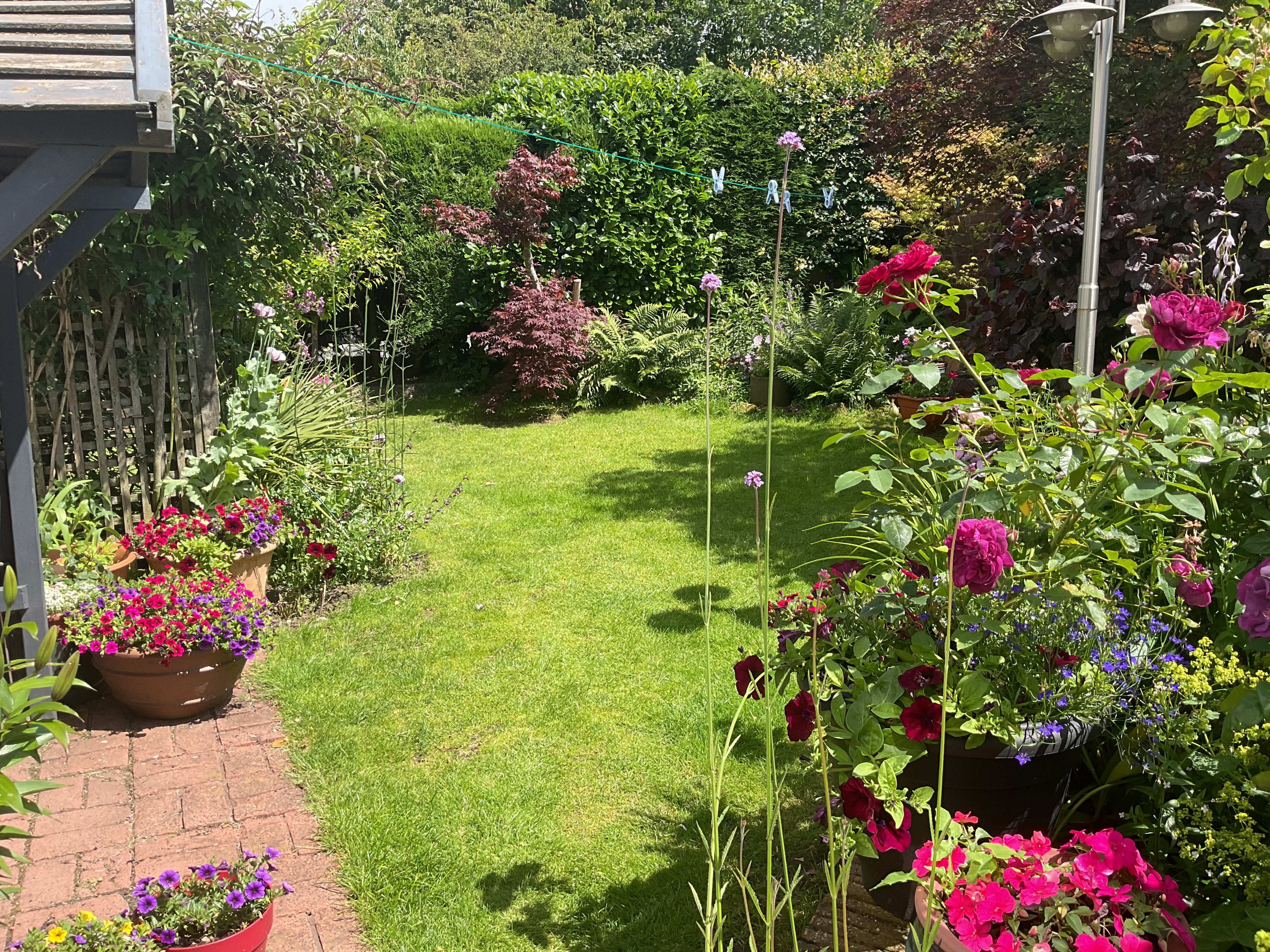 1 Wilton Lane, Culcheth, WA3, photo 31