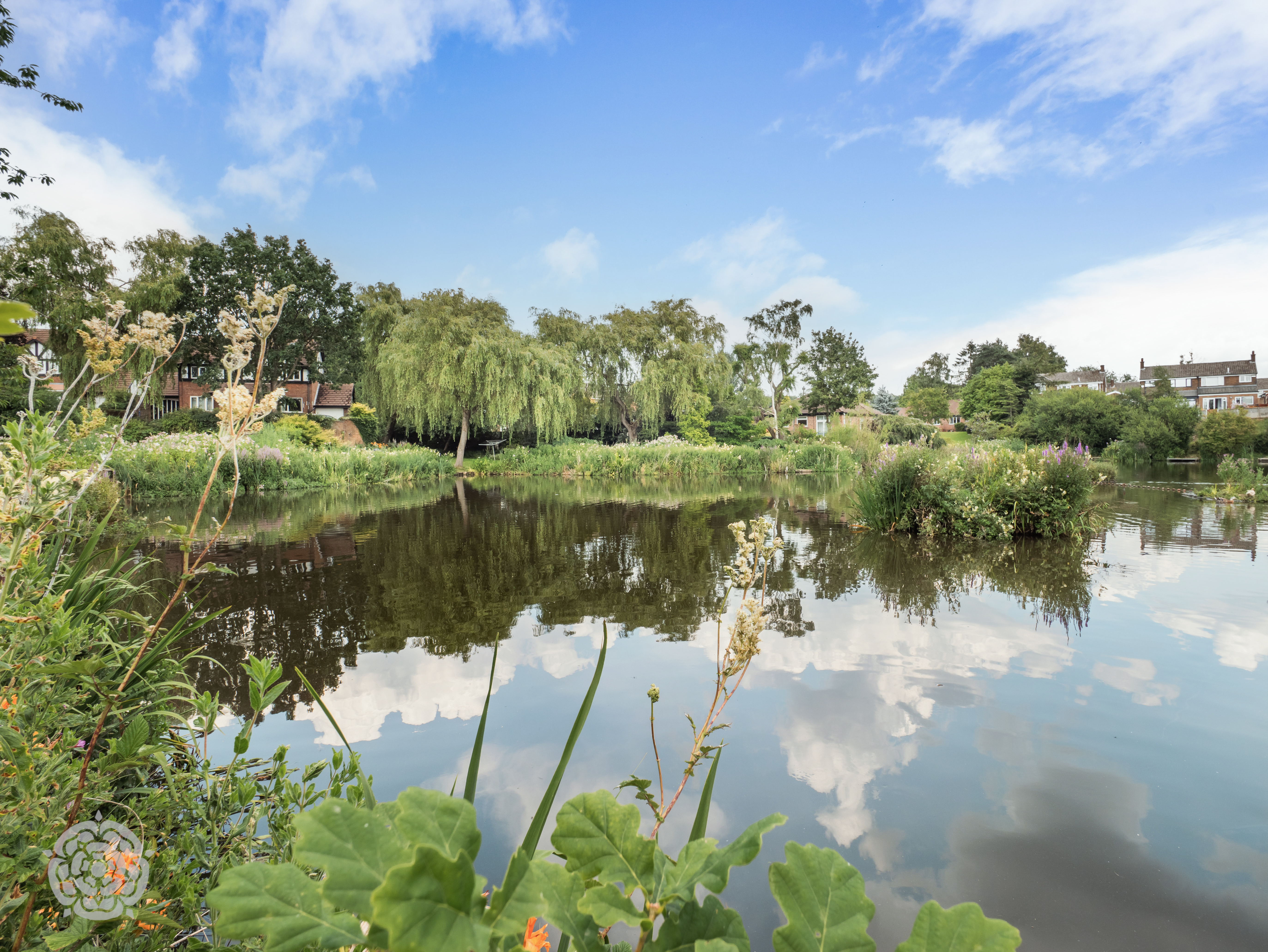 Hopefold Drive, Worsley, M28, photo 47