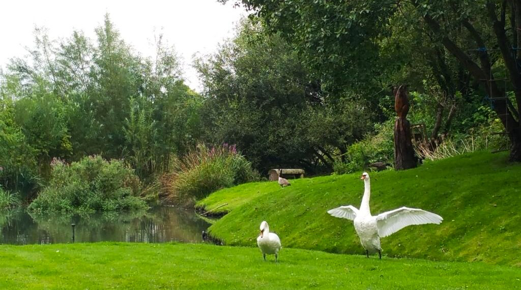 The Secret Valley, Hopefold Drive, Worsley, M28 3PW, photo 3