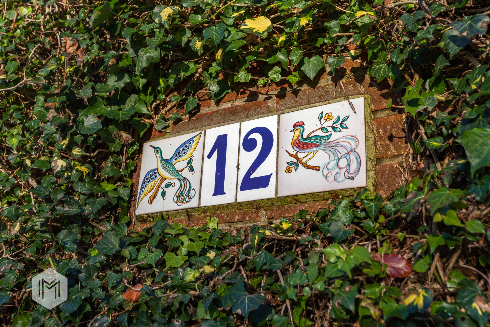 Photo 27