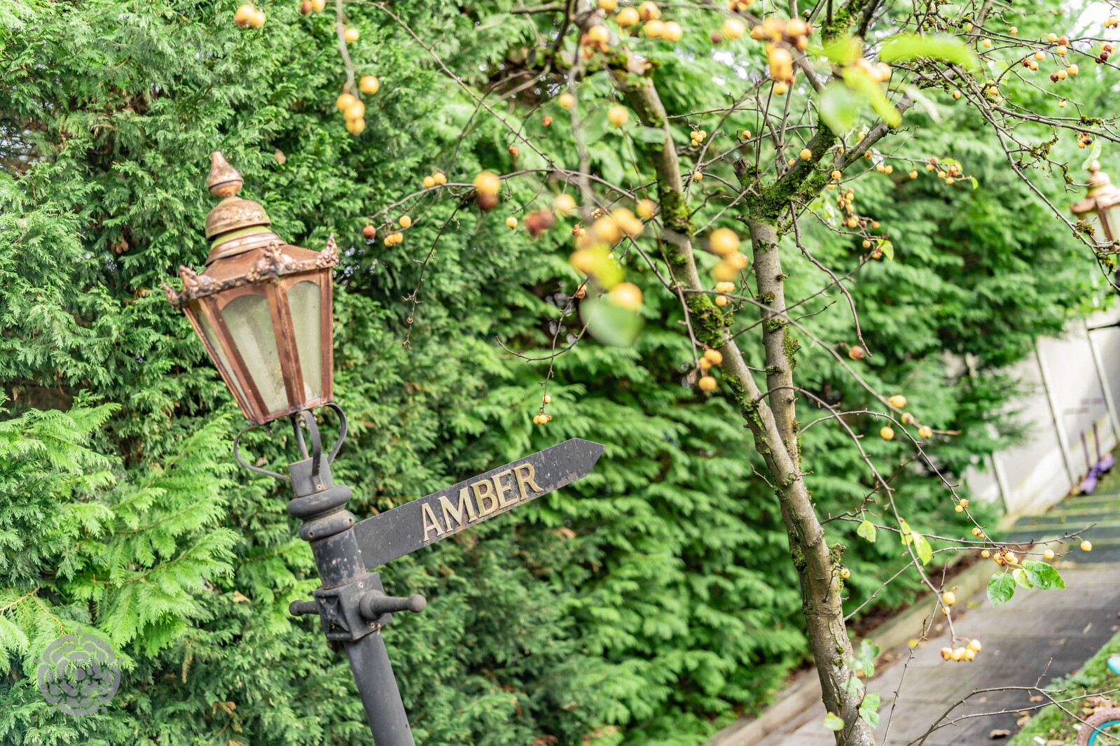 Oakley Park, Bolton, BL1, photo 31