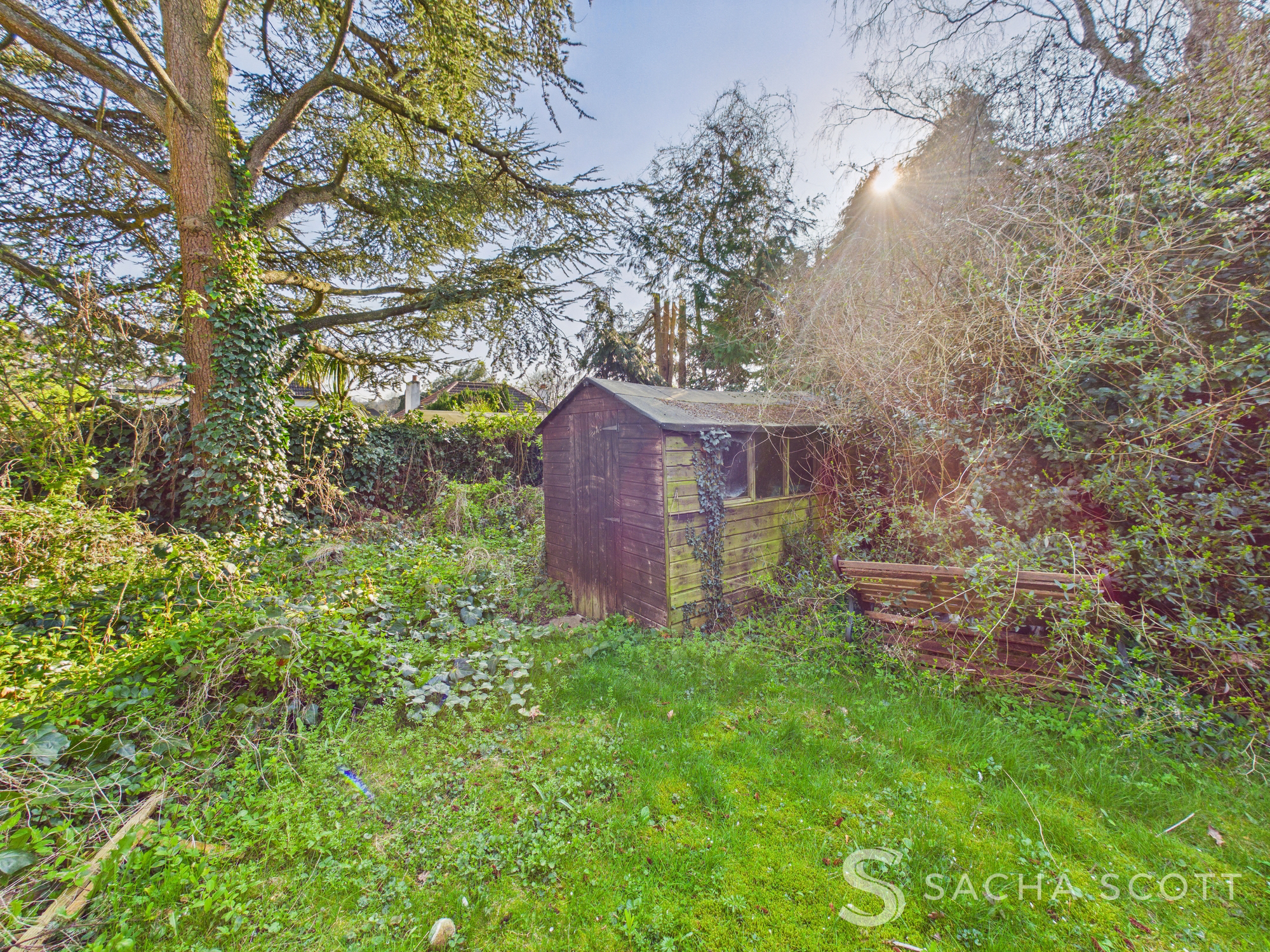 CAM01092G0-PR0379-STILL022