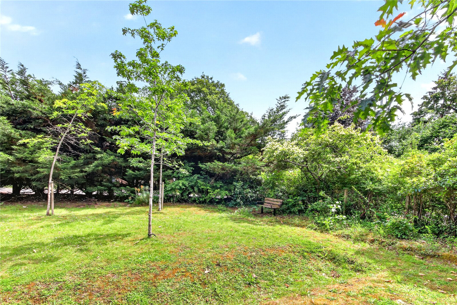 Wildridings Road, Bracknell, Berkshire, RG12, photo 12