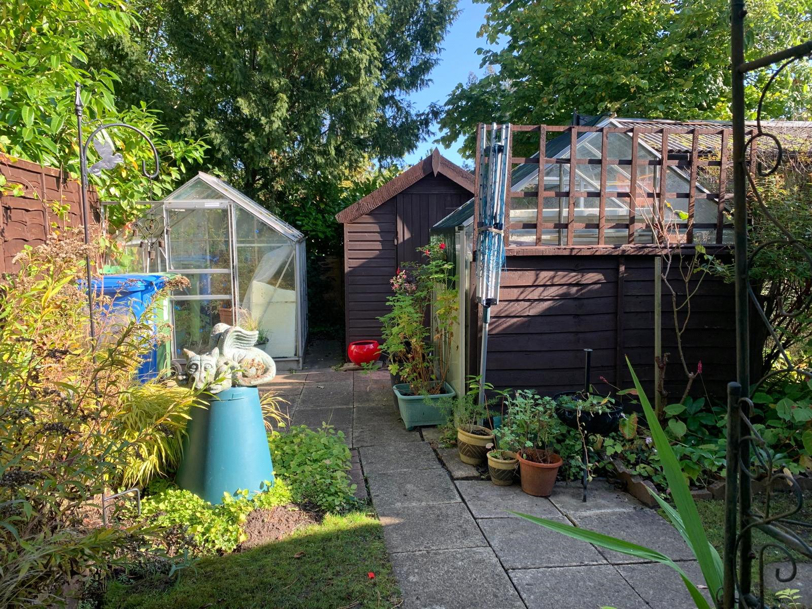 Photo 16