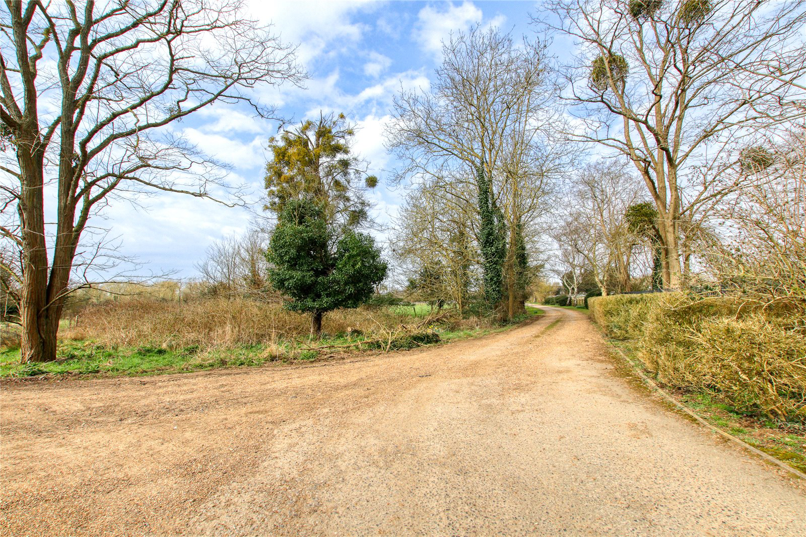 Ascot Road, Holyport, Maidenhead, SL6, photo 9