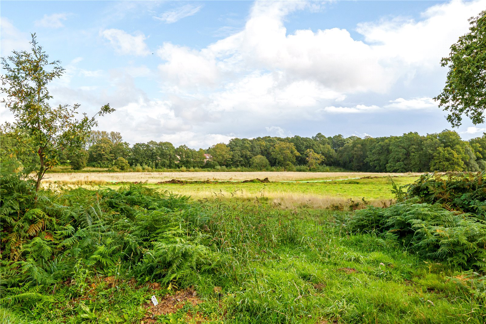 The Larches, Warfield Park, Bracknell, Berkshire, RG42, photo 13