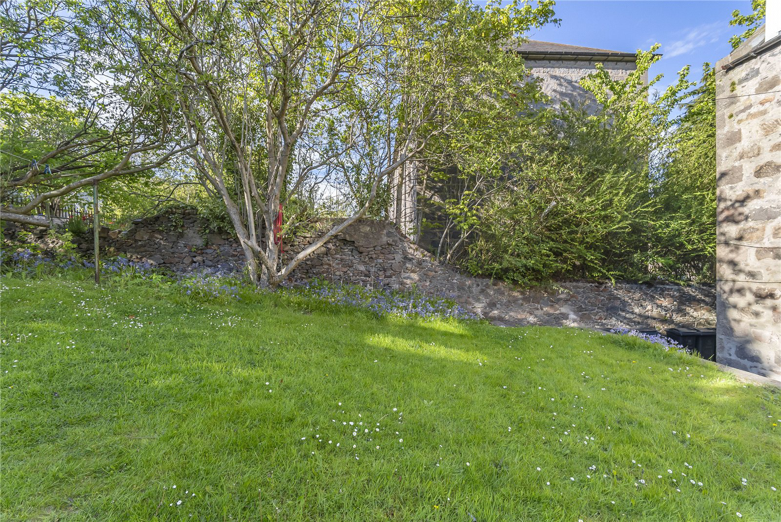 Holburn Street, Aberdeen, AB10, photo 16